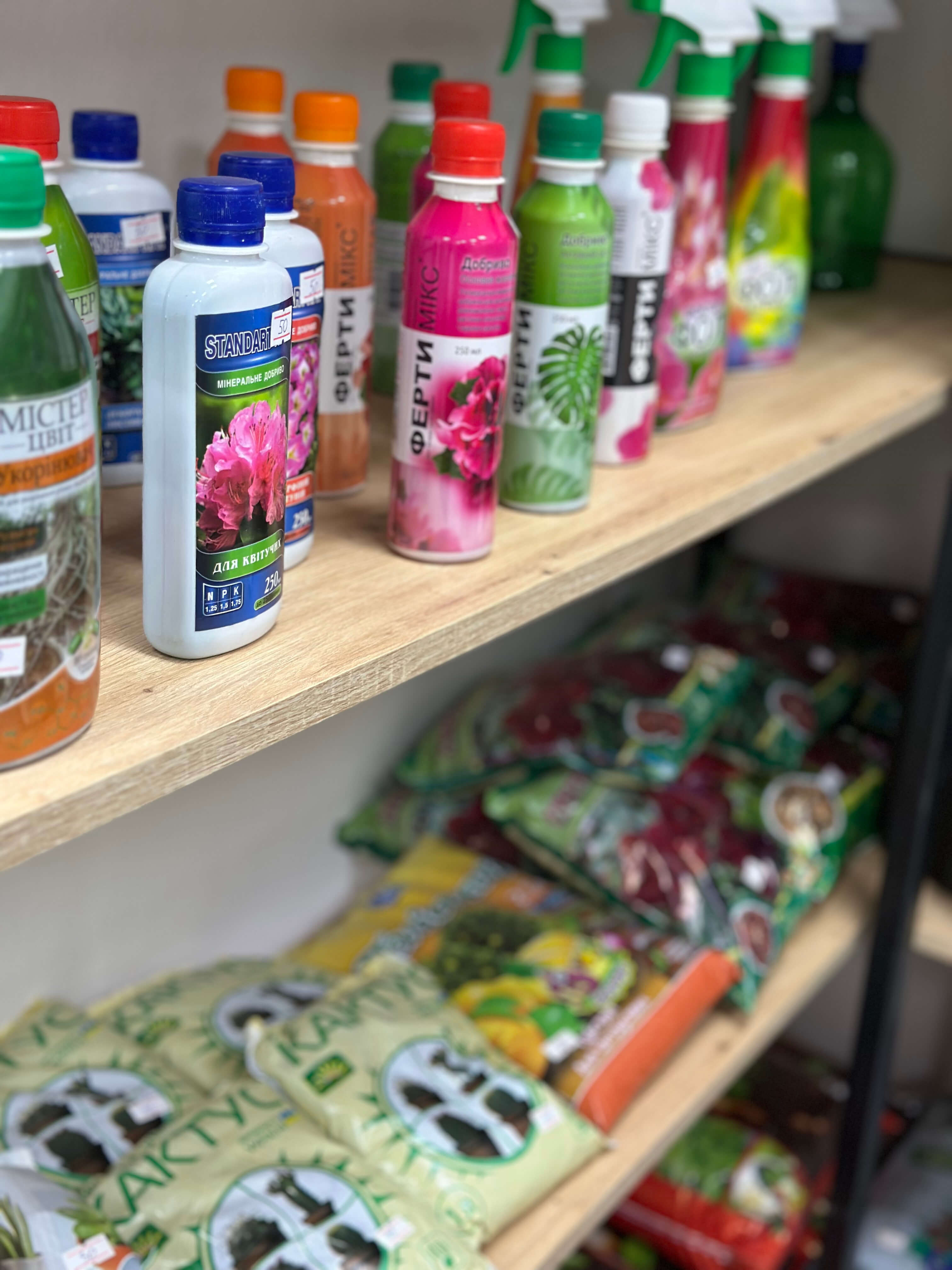 Категорія Кімнатні рослини